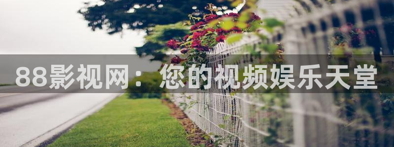 yy4480午夜理论