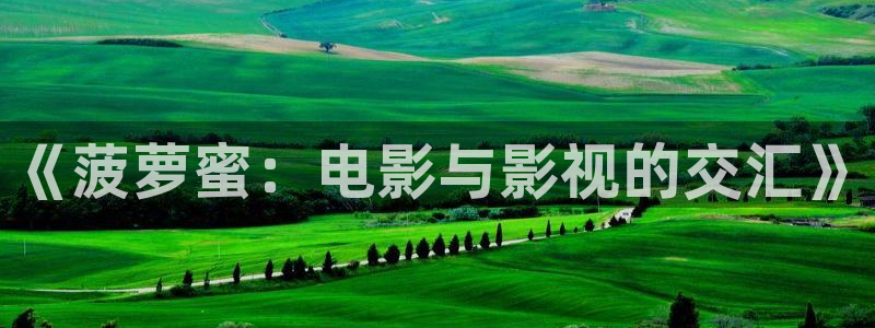 yy4480理伦