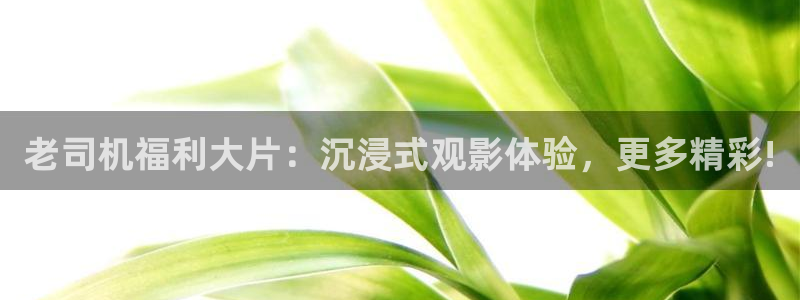 yy4480万利达影院