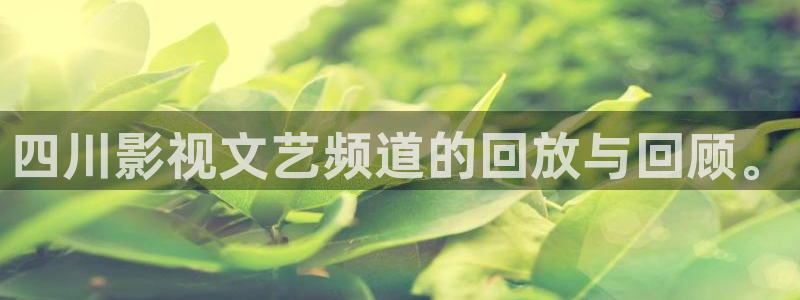 yy4480小说