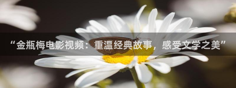 ww.yy4480